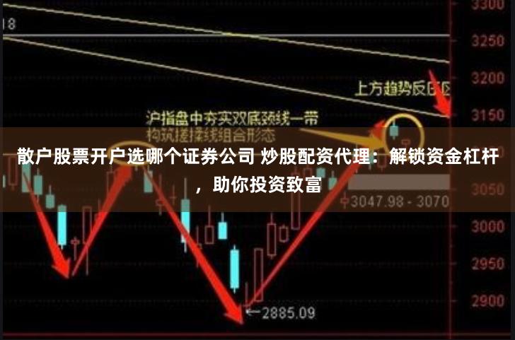 散户股票开户选哪个证券公司 炒股配资代理：解锁资金杠杆，助你投资致富